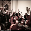 The double bass section
